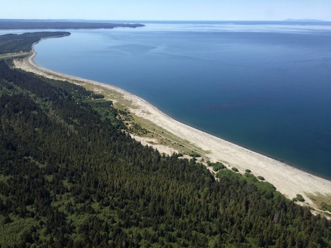 Aerial view of the Haida Gwaii coastline from the air