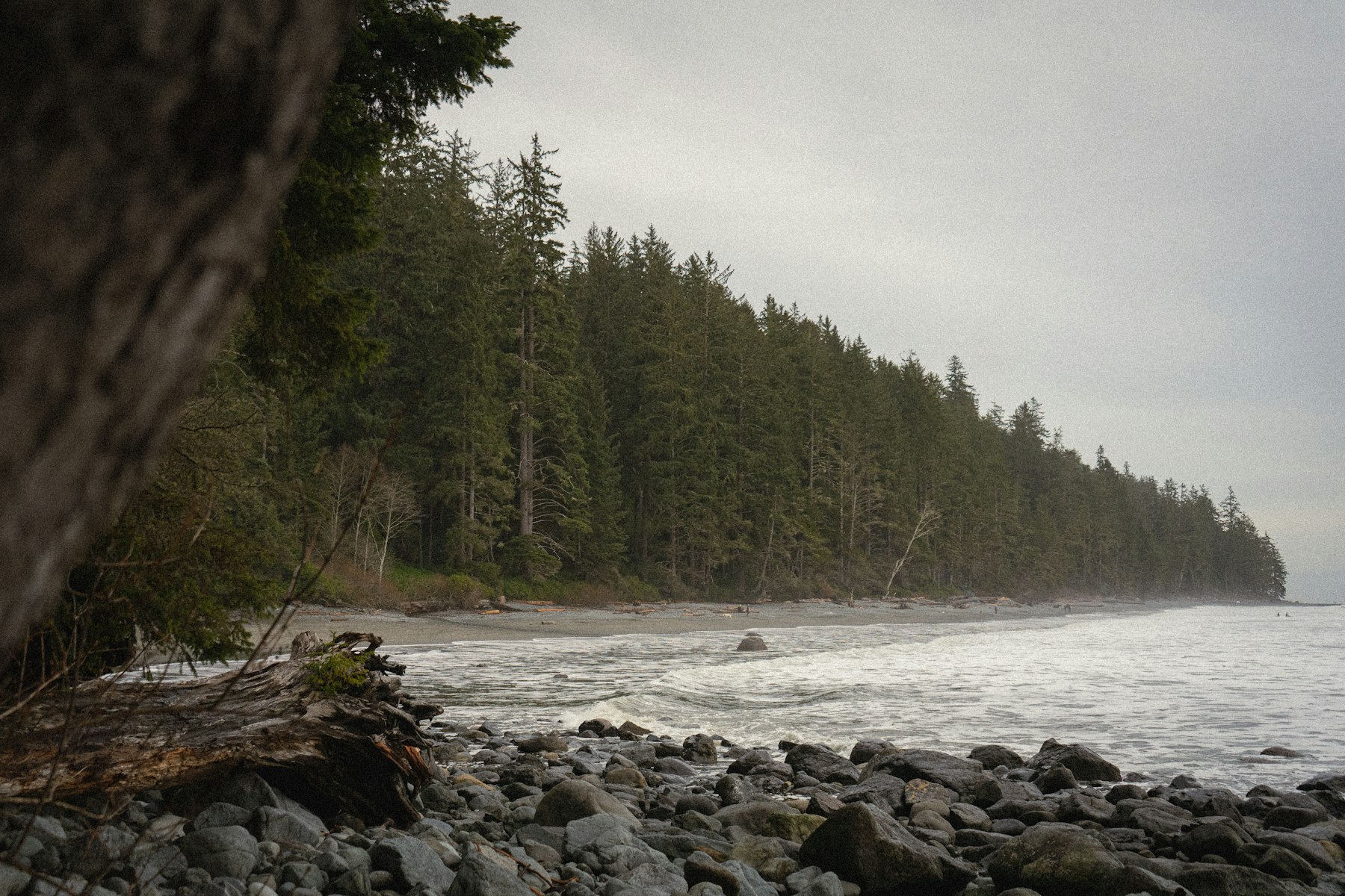 Rugged rocky coastline of Haida Gwaii